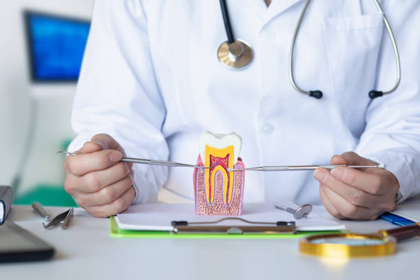 Best Same-Day Emergency Dental Services in Capac, MI